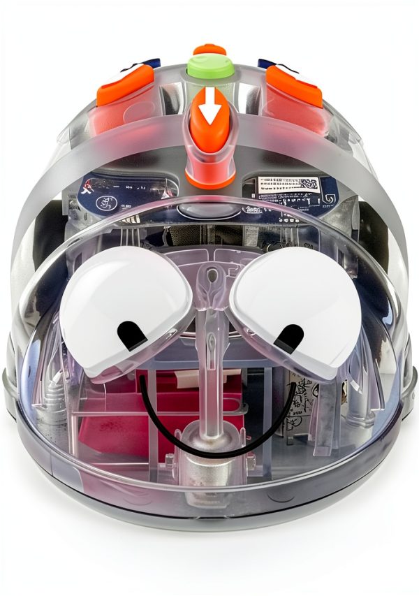 TerrificTeachingSolutions Bee-Bot Set with Free Docking Station-6